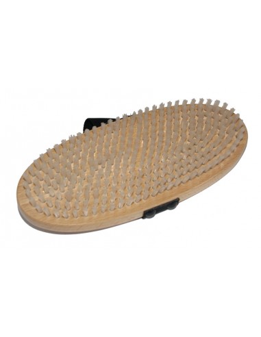 Perie Talpa Schi Ovala cu Curea Kunzmann - Nylon - 210x87x30 mm